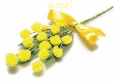 uploaded_image